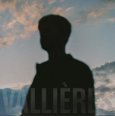 Vincent Vallières - Toute Beauté N'est Pas Perdue