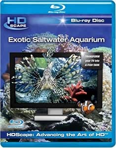 Exotic Saltwater Aquarium