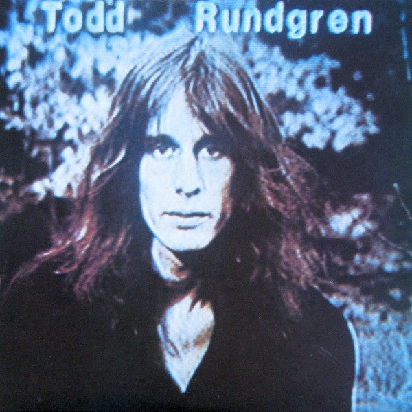 Todd Rundgren ‎– Hermit Of Mink Hollow VG+/VG+